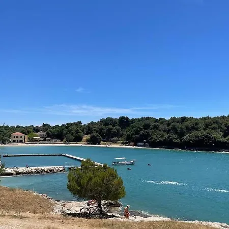 House Marea-newly Renovated 100m From The Sea Apartament