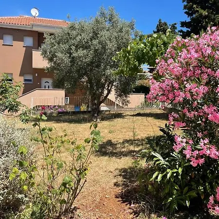 Apartament House Marea-newly Renovated 100m From The Sea *